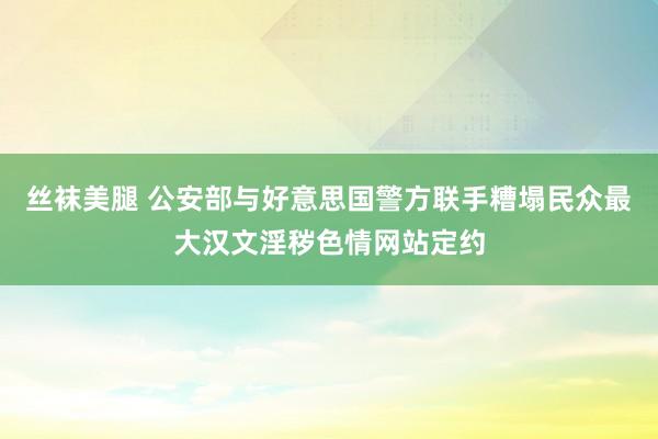 丝袜美腿 公安部与好意思国警方联手糟塌民众最大汉文淫秽色情网站定约