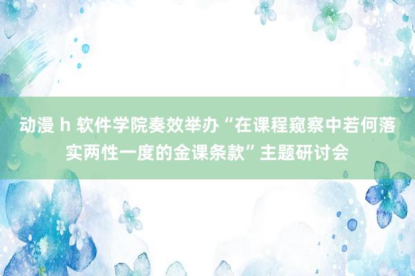 动漫 h 软件学院奏效举办“在课程窥察中若何落实两性一度的金课条款”主题研讨会