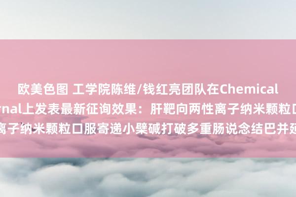 欧美色图 工学院陈维/钱红亮团队在Chemical Engineering Journal上发表最新征询效果：肝靶向两性离子纳米颗粒口服寄递小檗碱打破多重肠说念结巴并延伸胰岛素调整握续时候